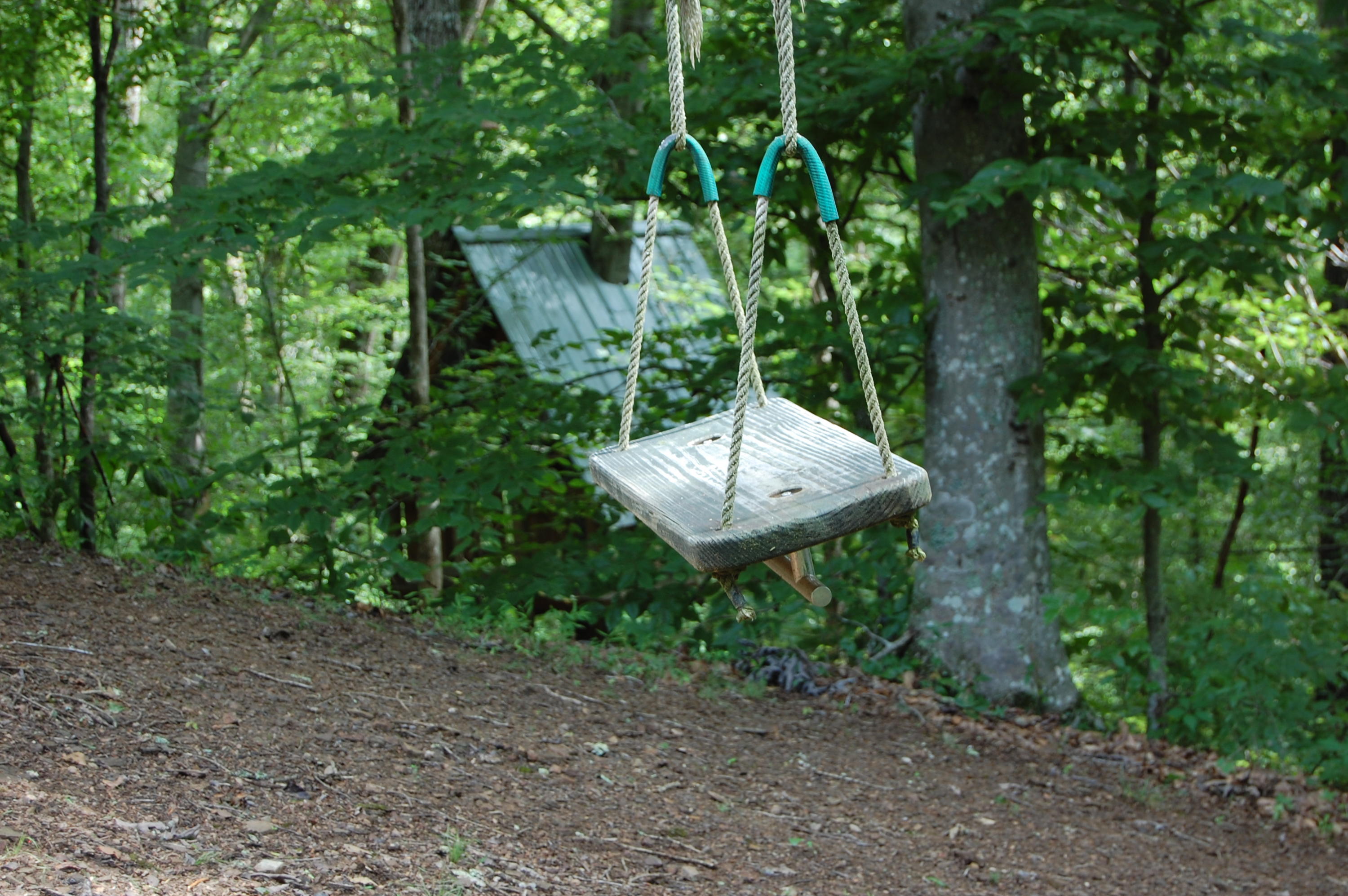 701 Bullrun Valley Drive Heiskell, TN 37754 - Photo 40 of 40 Tree Swing & House
