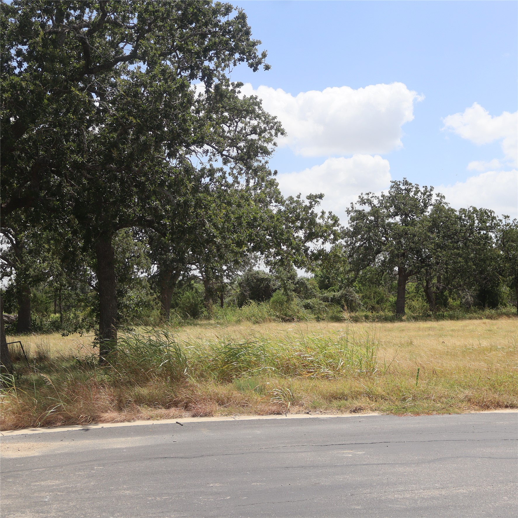 112 Mesones Road Florence, TX 76527 - Photo 4 of 4 Mature trees frame a spacious building site bordering a paved street under blue skies.