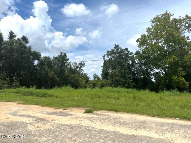 12239 Burke Road Fountain, FL 32438 - Photo 2 of 6