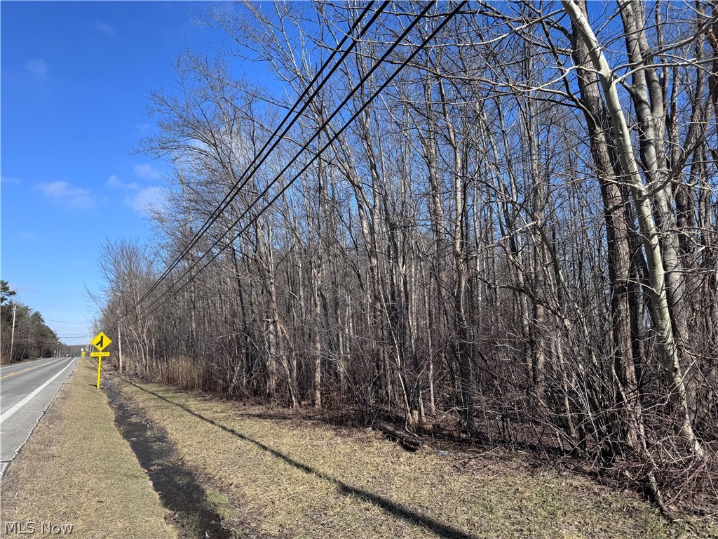 3 Painesville Warren Road Painesville, OH 44077 - Photo 10 of 16