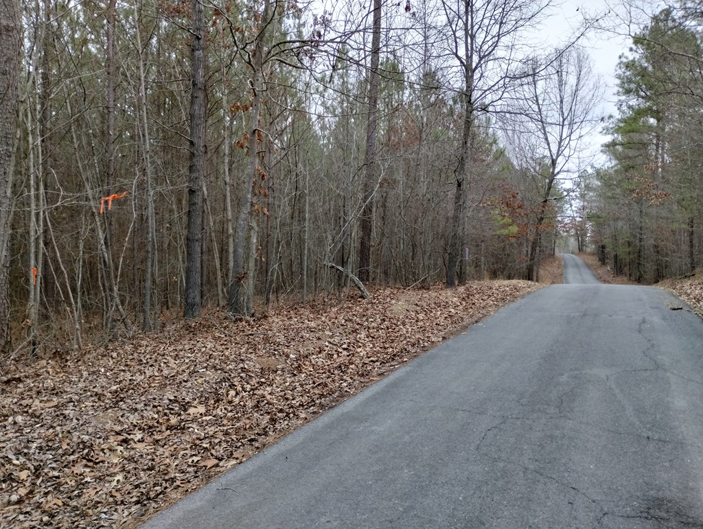 0 Walt Maddron Road Cohutta, GA 30710 - Photo 5 of 9