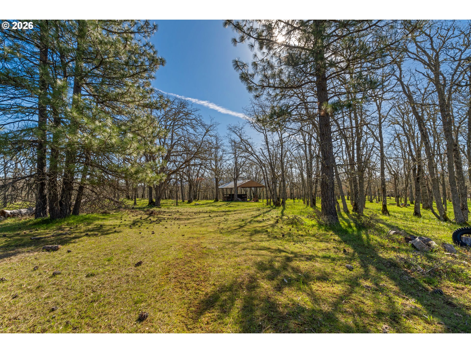 196 Lyle Snowden Road Lyle, WA 98635 - Photo 29 of 45 Gallery Image 29