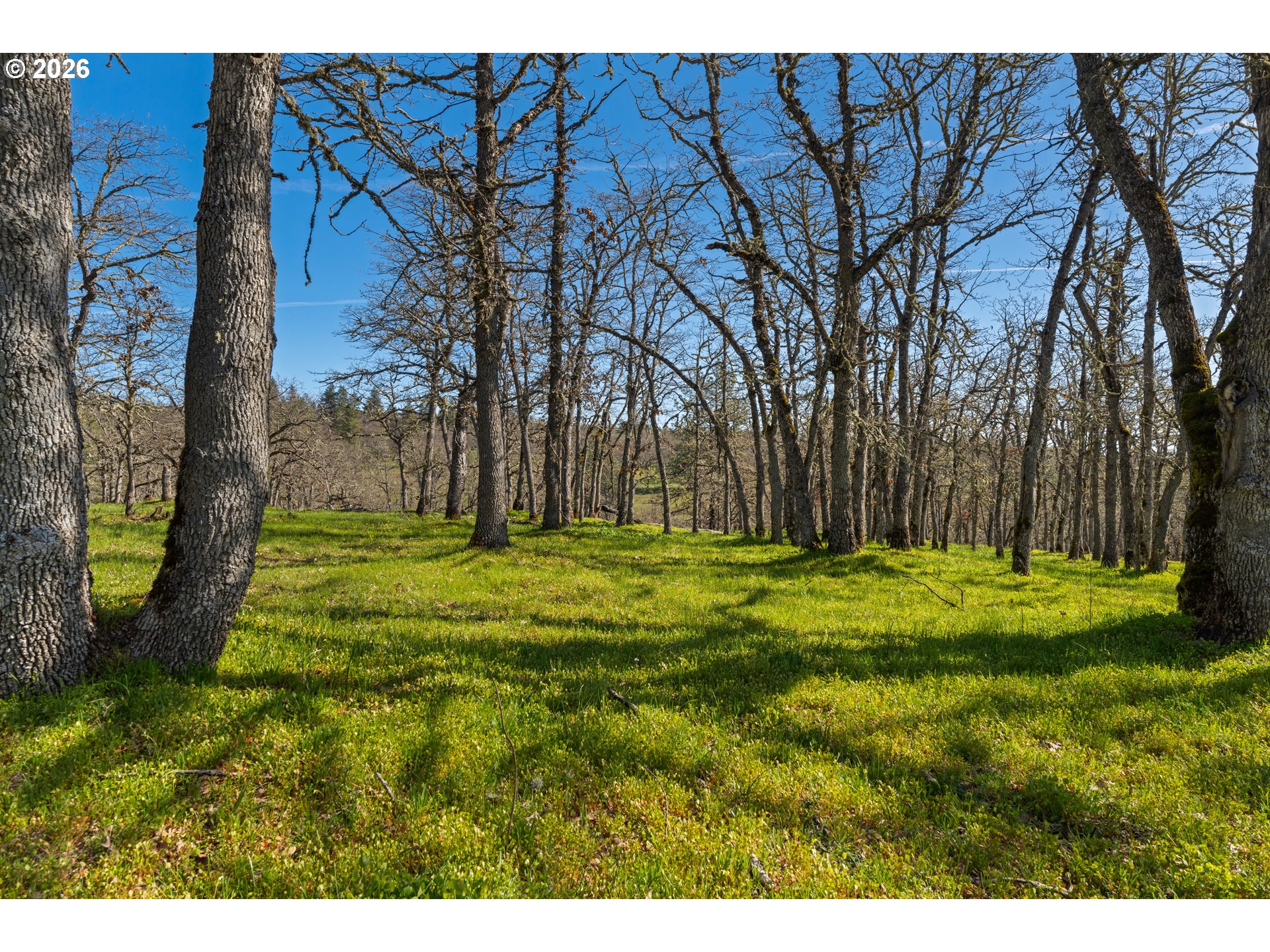 196 Lyle Snowden Road Lyle, WA 98635 - Photo 34 of 45 Gallery Image 34