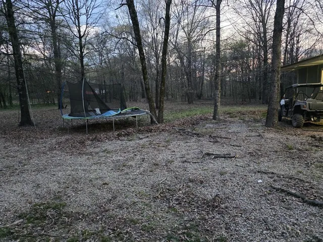 a view of a park with large trees