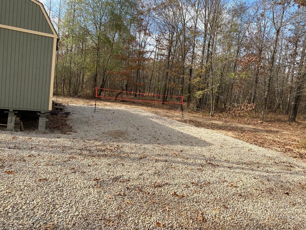 160 Zigler Road Avery, TX 75554 - Photo 11 of 14 View of yard featuring volleyball court and a view of trees