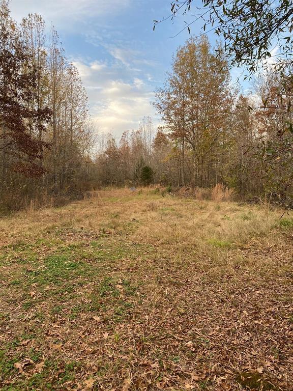 160 Zigler Road Avery, TX 75554 - Photo 12 of 14 View of nature