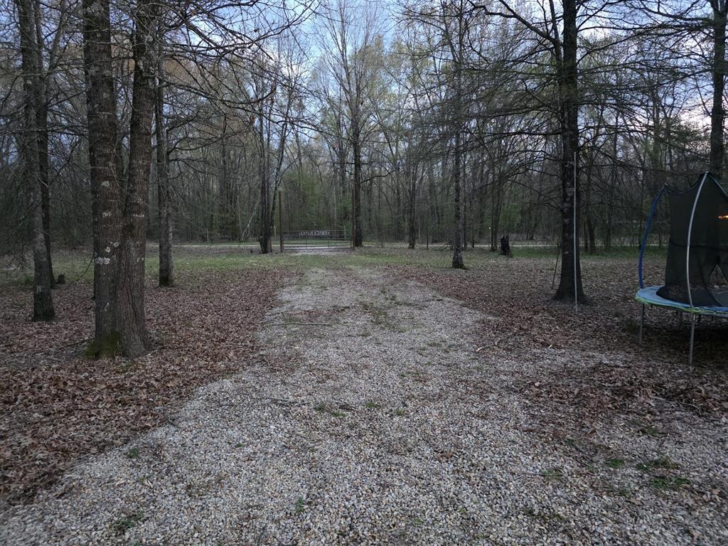 160 Zigler Road Avery, TX 75554 - Photo 3 of 14 View of road with a view of trees