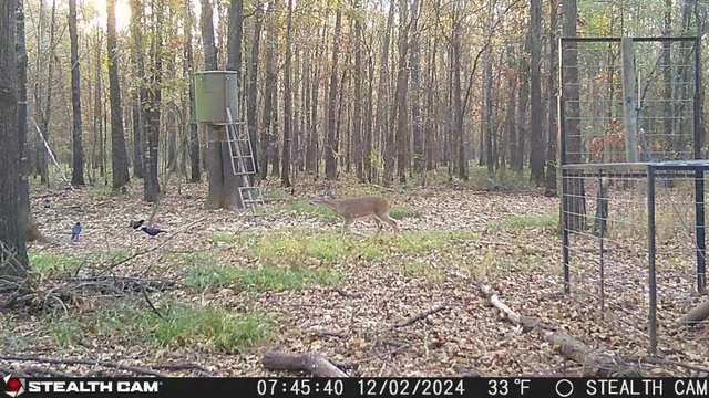 a view of outdoor space with sink
