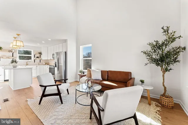 a living room with furniture and a potted plant