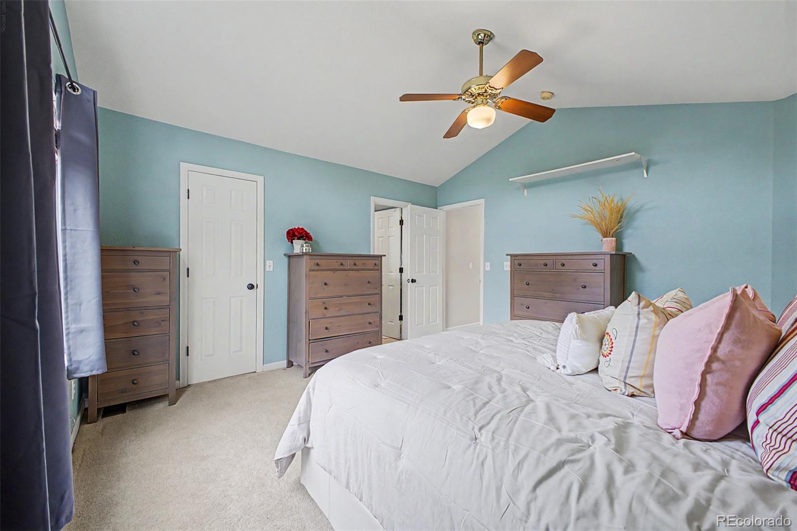 10015 Silver Maple Road Highlands Ranch, CO 80129 - Photo 15 of 37