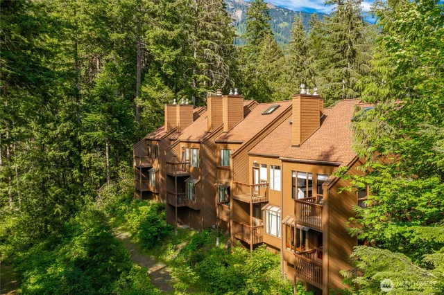 an aerial view of a house with a yard and large trees
