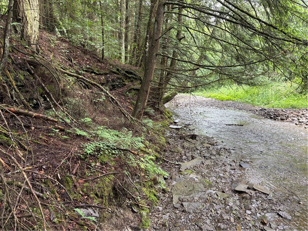Stage Road South Otselic, NY 13155 - Photo 17 of 29