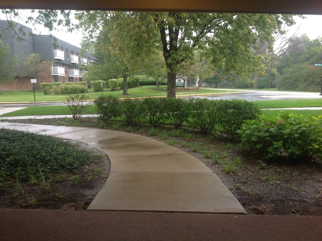 924 Ridge Square, Unit 118 Elk Grove Village, IL 60007 - Photo 3 of 10 a view of a park