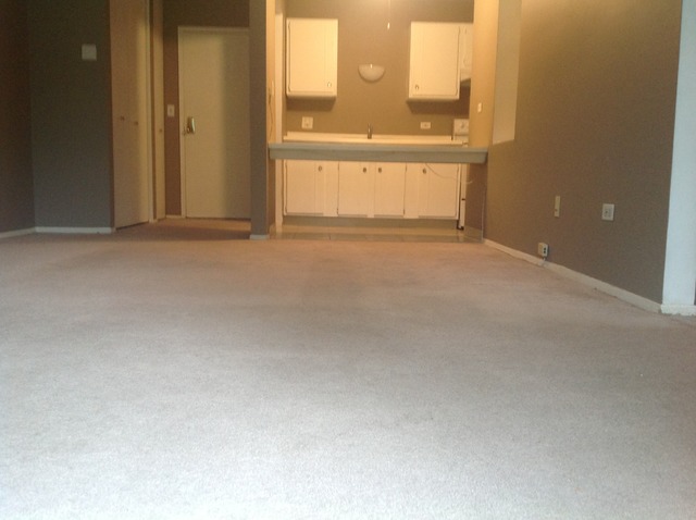 924 Ridge Square, Unit 118 Elk Grove Village, IL 60007 - Photo 5 of 10 a view of an empty room