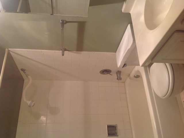 924 Ridge Square, Unit 118 Elk Grove Village, IL 60007 - Photo 8 of 10 a close up of a shower