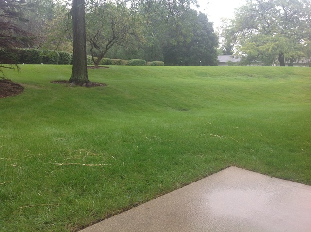 924 Ridge Square, Unit 118 Elk Grove Village, IL 60007 - Photo 10 of 10 a view of a field with grass and a tree