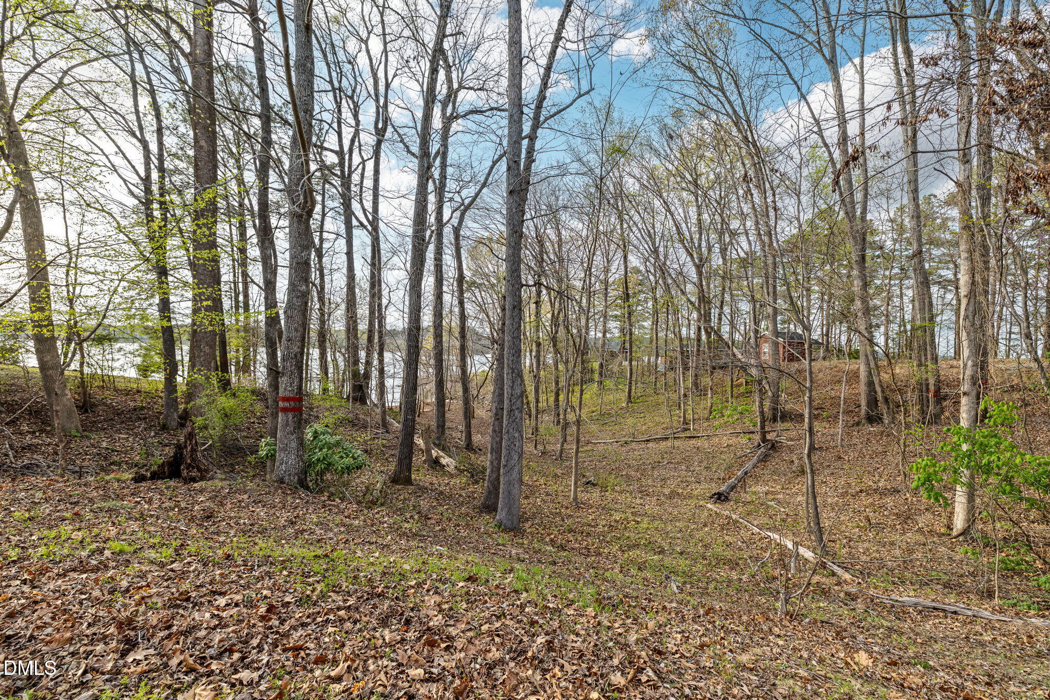 114 Wester Road Henderson, NC 27537 - Photo 5 of 43 28-web-or-mls-114-Wester-28