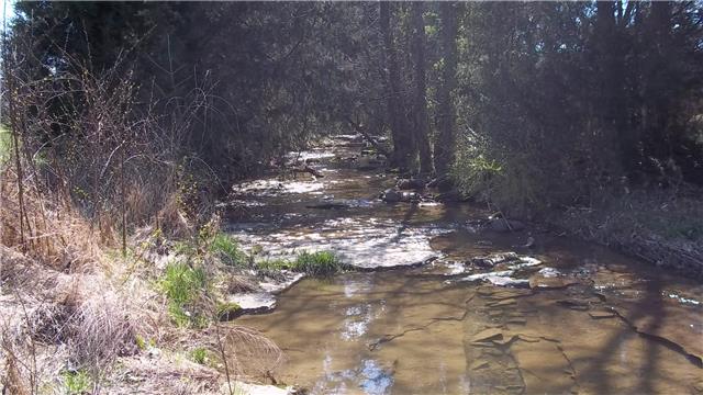 675 Burnt House Road Lebanon, TN 37090 - Photo 18 of 20 View of one of two beautiful creeks on the property.