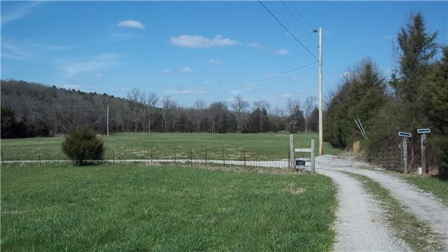 675 Burnt House Road Lebanon, TN 37090 - Photo 3 of 20 Driveway leading to 1st pasture.