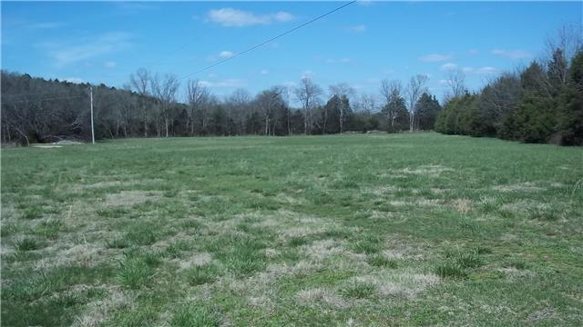 675 Burnt House Road Lebanon, TN 37090 - Photo 4 of 20 Photo of first pasture.