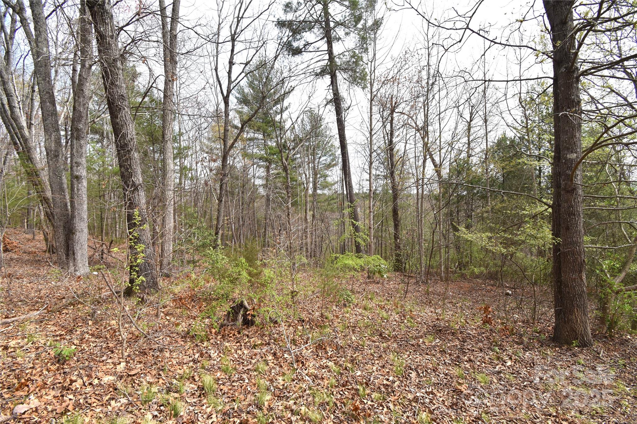 1140 Allman Ridge Road Morganton, NC 28655 - Photo 29 of 31