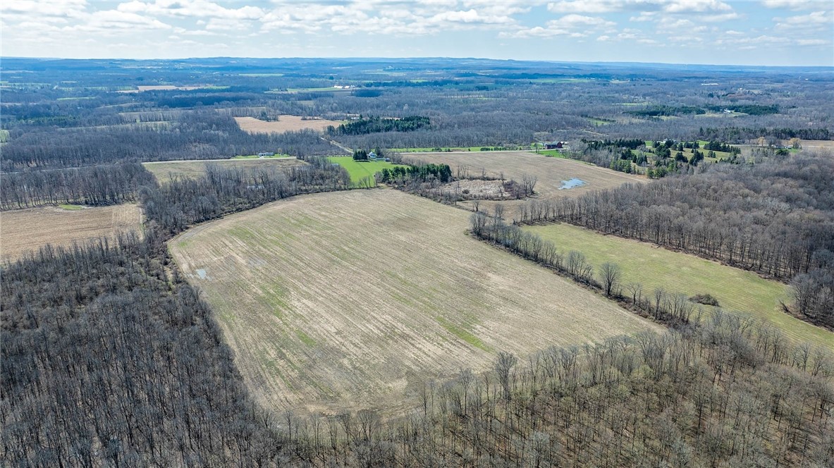Sweetland Road Stafford, NY 14143 - Photo 4 of 7