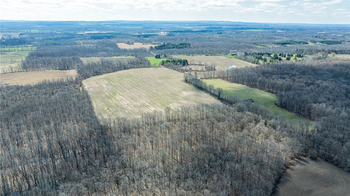 Sweetland Road Stafford, NY 14143 - Photo 5 of 7