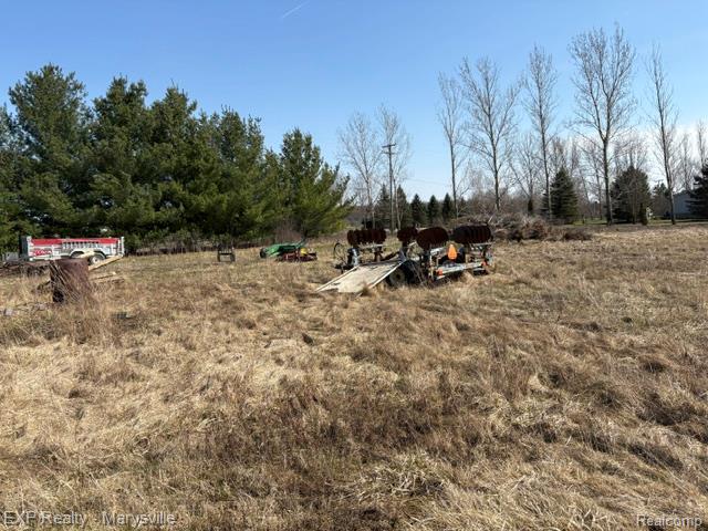 6919 Emmett Road Yale, MI 48097 - Photo 3 of 15