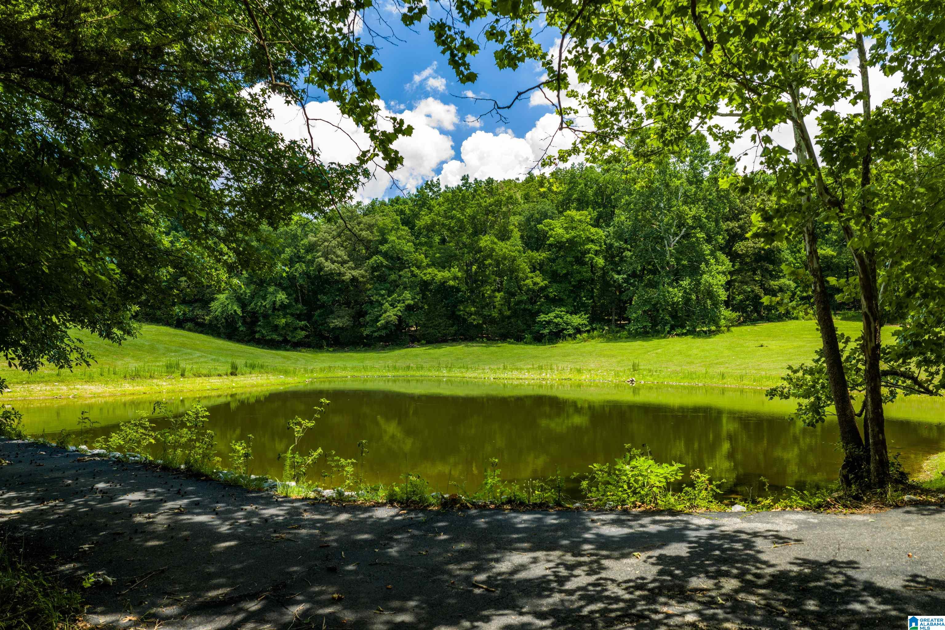 3640 Spring Creek Road Calera, AL 35040 - Photo 13 of 83