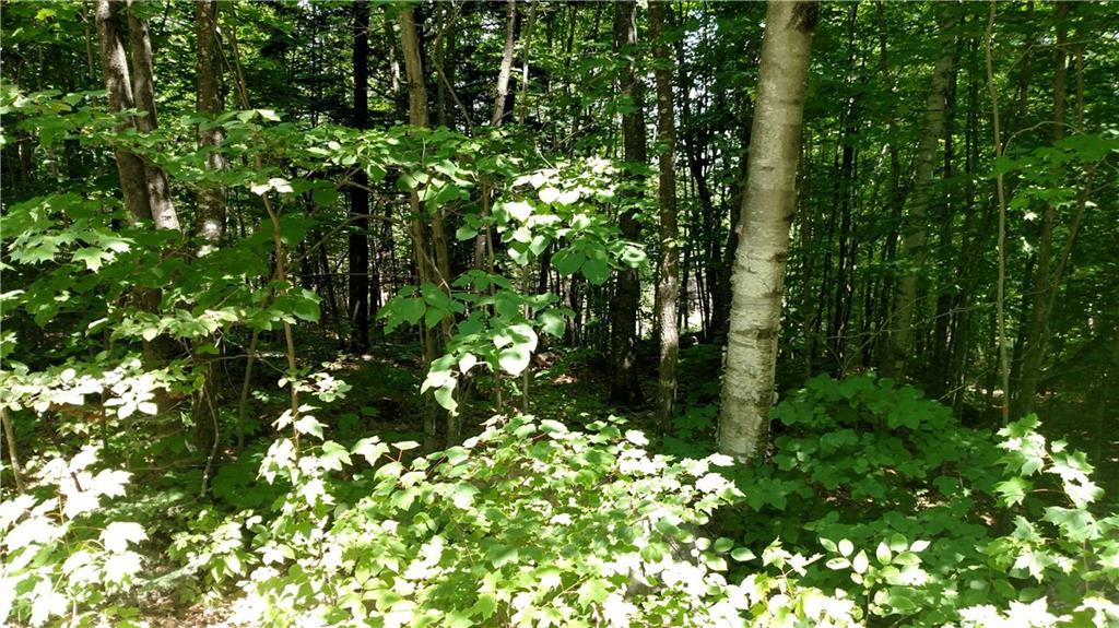 Map R10-lo Map R10-lo Barrows Road Sumner, ME 04292 - Photo 4 of 9 Photo