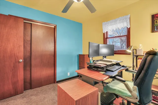 a view of a backyard with large trees