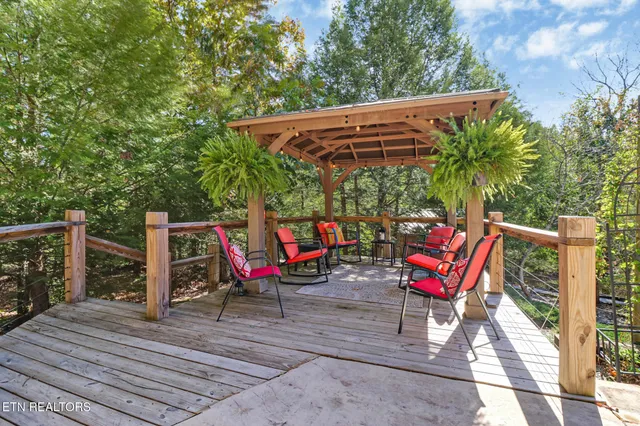a view of a backyard with trees