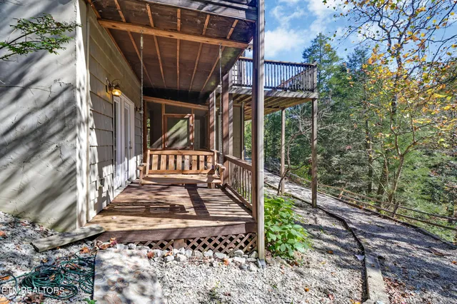 a view of a yard with plants and large trees