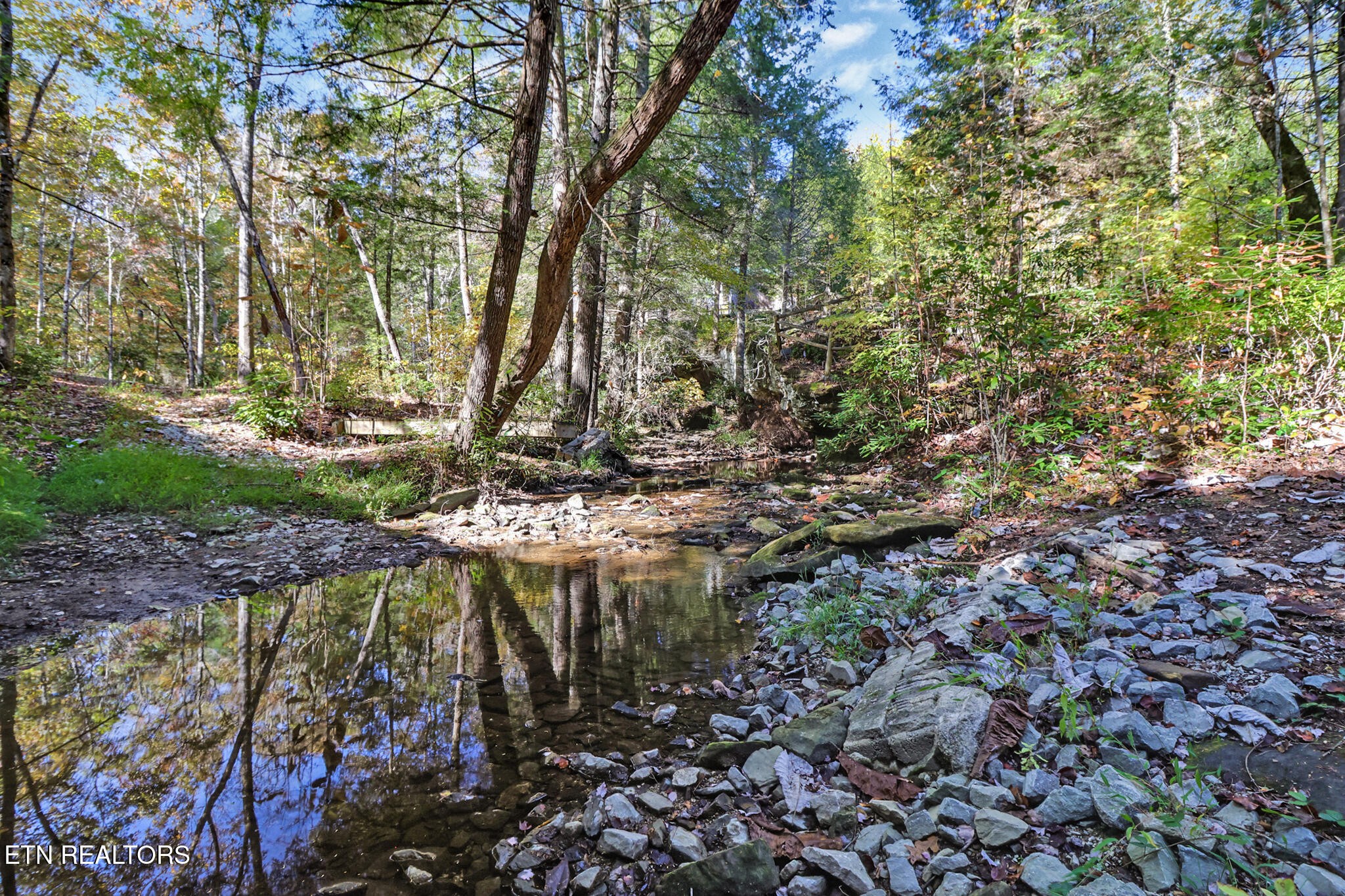 232 Victoria Circle Jamestown, TN 38556 - Photo 48 of 58