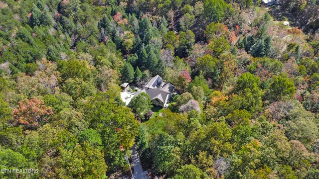 a view of a house with a lush green forest