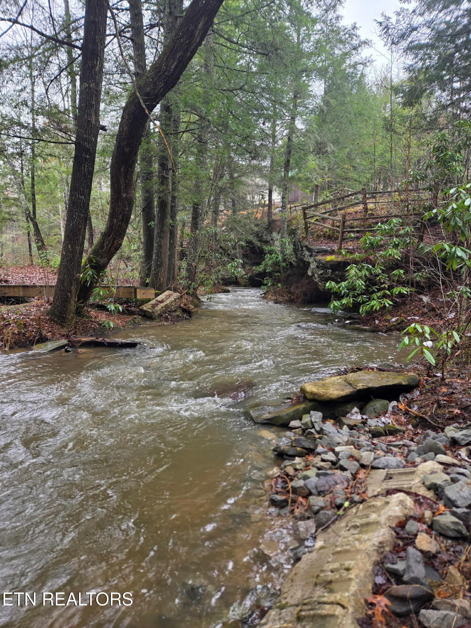 232 Victoria Circle Jamestown, TN 38556 - Photo 5 of 60