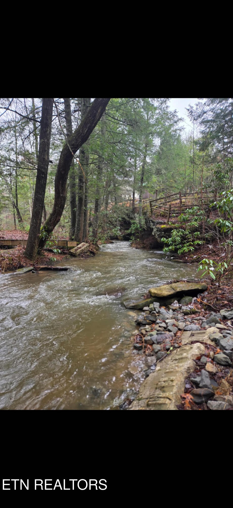 232 Victoria Circle Jamestown, TN 38556 - Photo 60 of 60