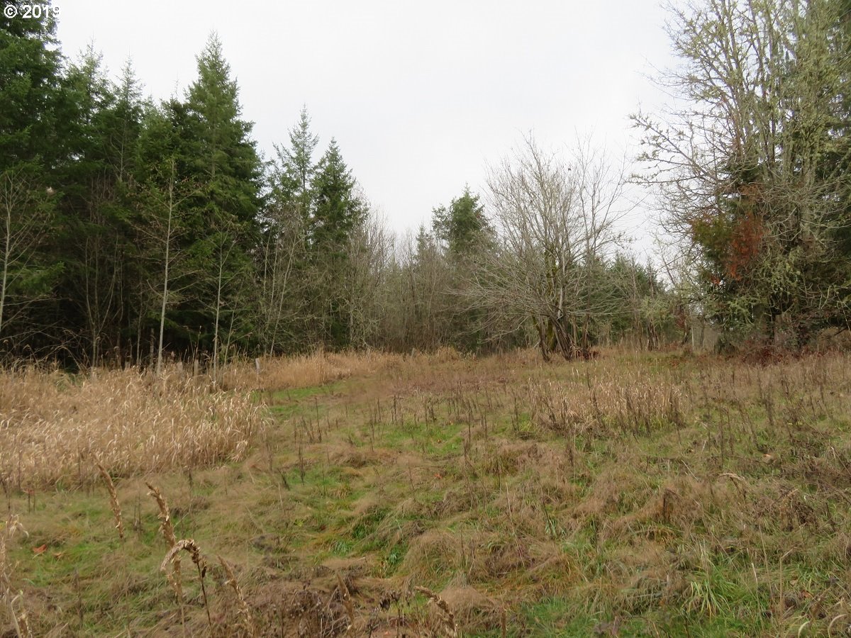 Cousins Road Chehalis, WA 98532 - Photo 2 of 32