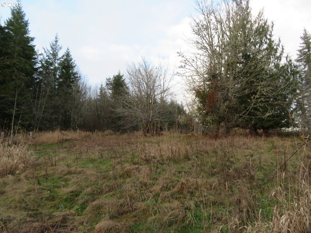 Cousins Road Chehalis, WA 98532 - Photo 12 of 32