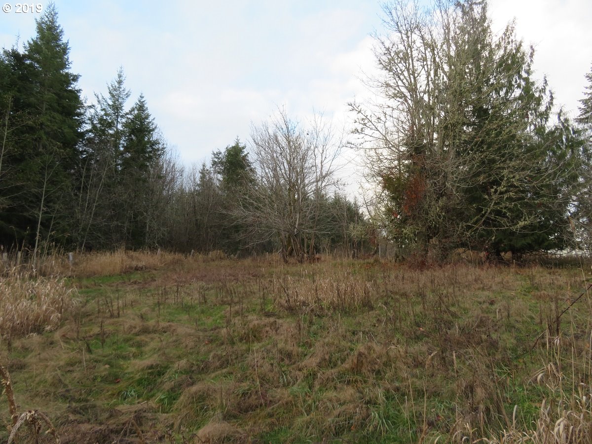 Cousins Road Chehalis, WA 98532 - Photo 13 of 32