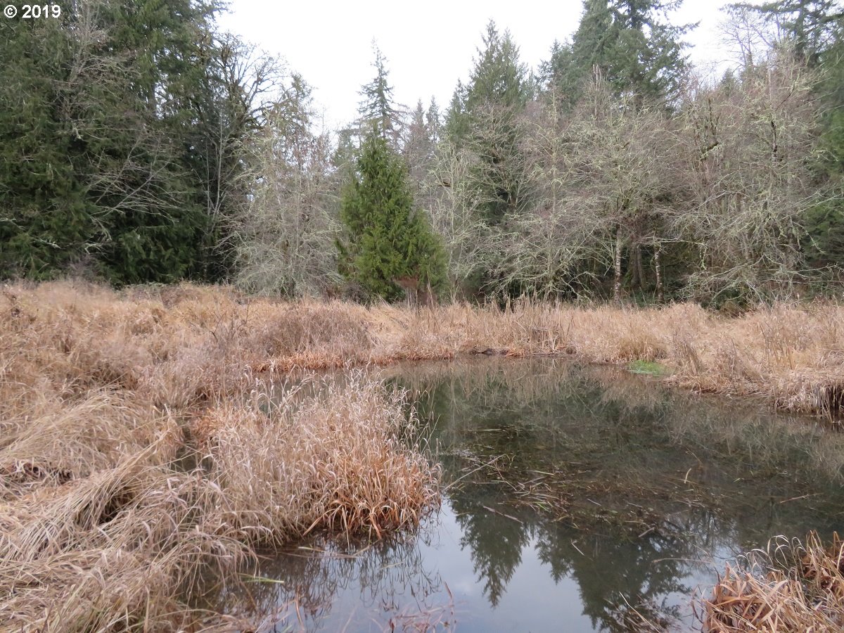 Cousins Road Chehalis, WA 98532 - Photo 14 of 32