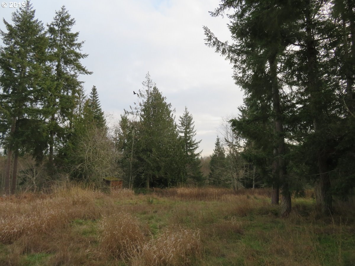 Cousins Road Chehalis, WA 98532 - Photo 15 of 32