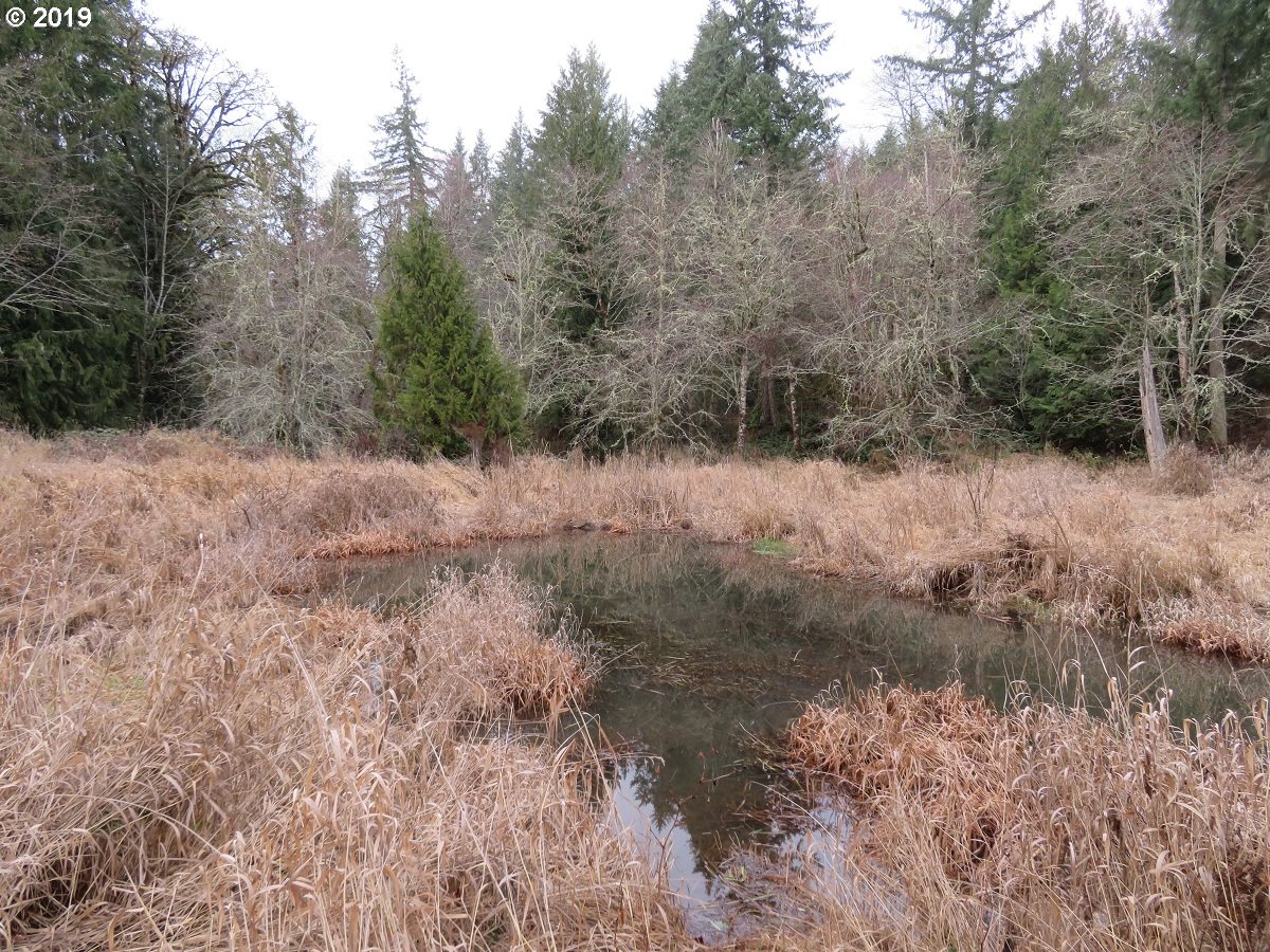 Cousins Road Chehalis, WA 98532 - Photo 16 of 32