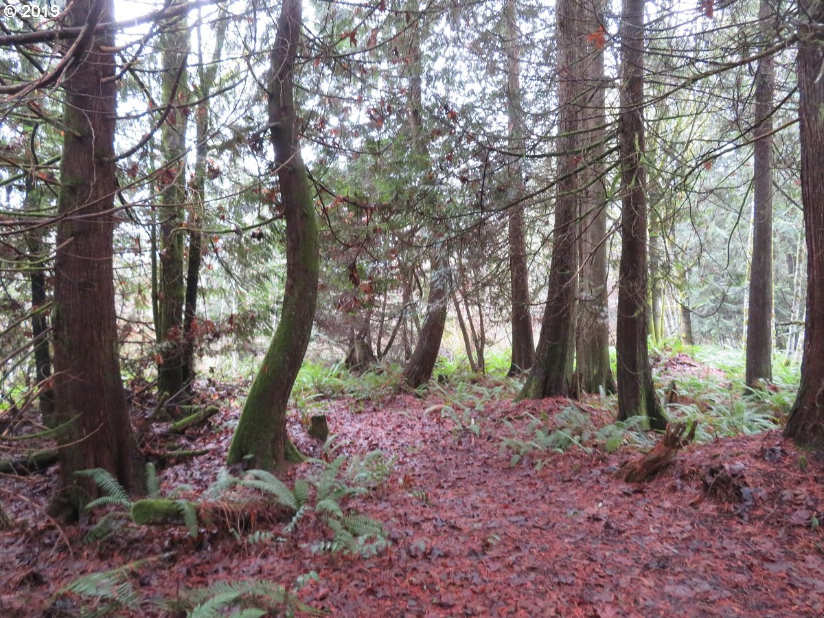 Cousins Road Chehalis, WA 98532 - Photo 21 of 32