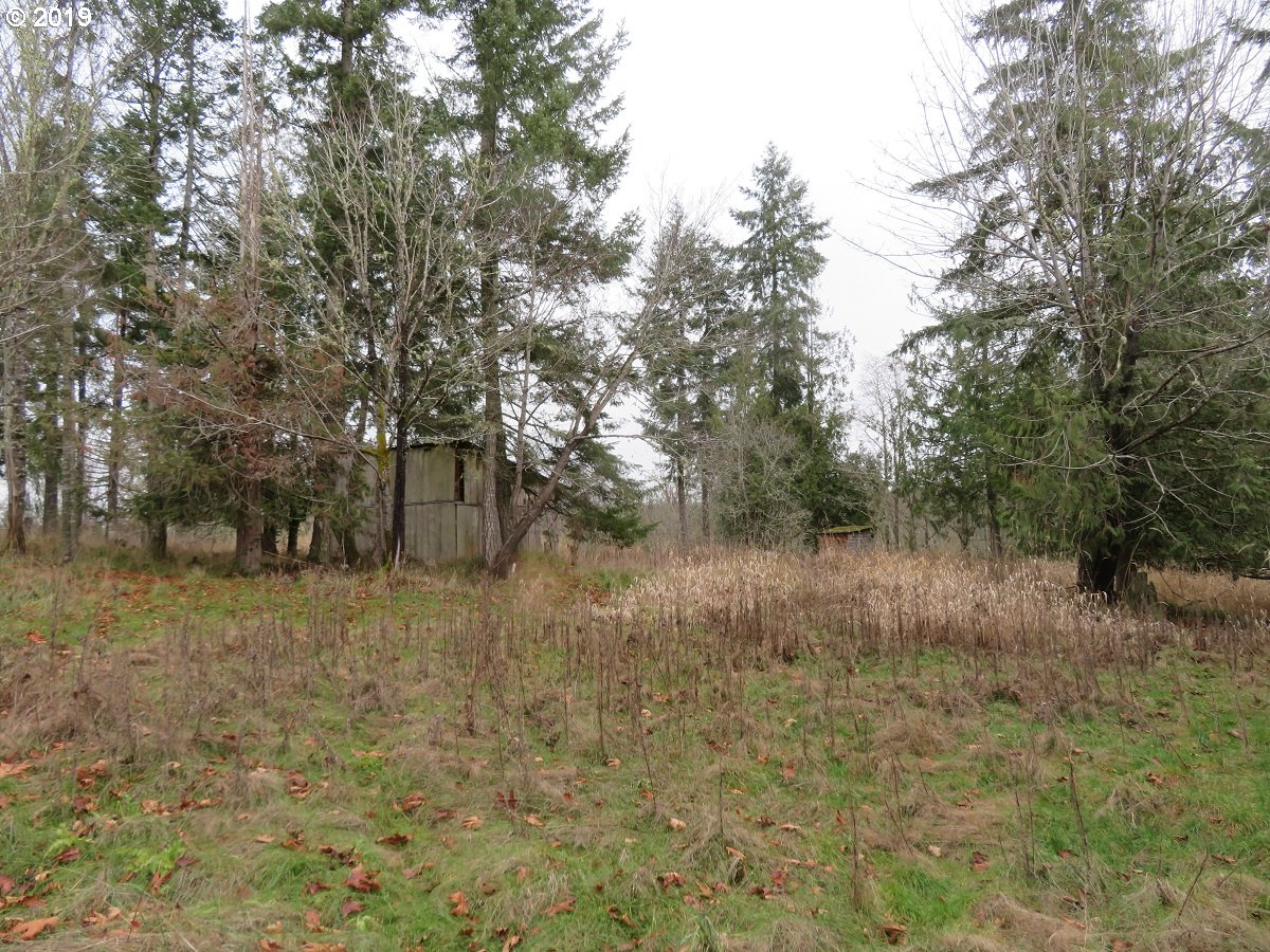 Cousins Road Chehalis, WA 98532 - Photo 23 of 32