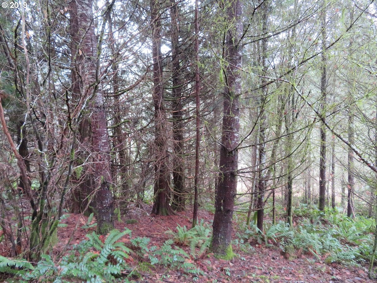 Cousins Road Chehalis, WA 98532 - Photo 25 of 32