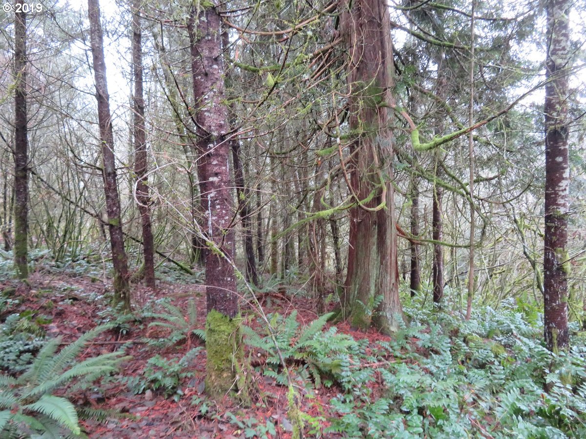 Cousins Road Chehalis, WA 98532 - Photo 26 of 32