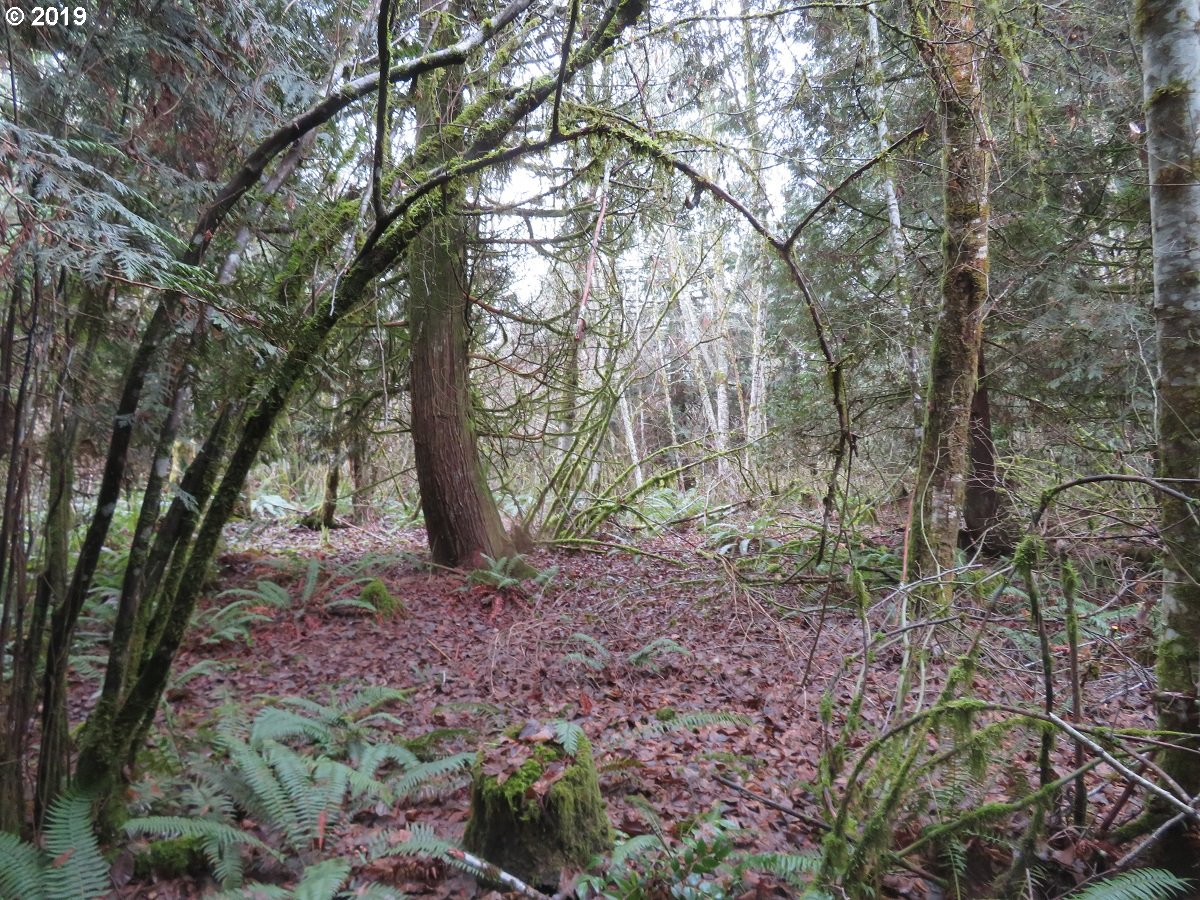 Cousins Road Chehalis, WA 98532 - Photo 28 of 32