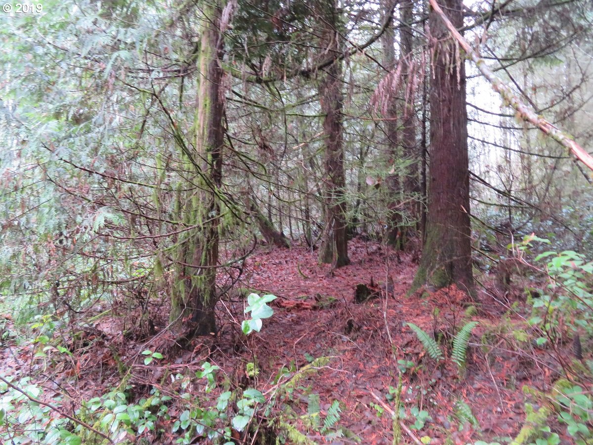 Cousins Road Chehalis, WA 98532 - Photo 29 of 32