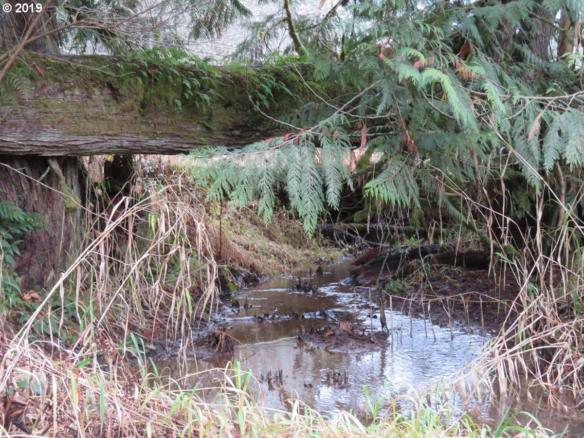 Cousins Road Chehalis, WA 98532 - Photo 31 of 32